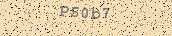 An error has occurred while getting captcha image